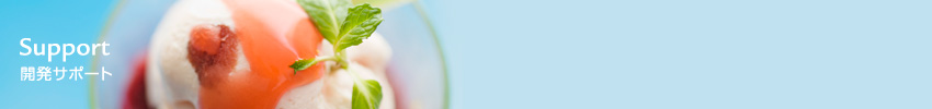 開発サポート